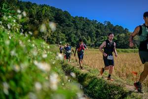 BIB: 
                            <button type="button" onclick="openModal(26583016)" class="btn btn-primary btn-sm float-right btn-popup" data-toggle="modal" data-target=".modal-high-quality">
                        <i class="fas fa-shopping-cart"></i> Add to Cart
                    </button>
                                            <button type="button" onclick="isThisMe(26583016, true)" class="btn btn-success btn-sm float-right btn-popup btn-isme hidden" data-toggle="tooltip" data-placement="bottom" title="นี่คือรูปของคุณใช่ไหม คลิกที่นี่เพื่อเอาเข้าอัลบั้ม">
                        <i class="fas fa-plus"></i> Add to album
                    </button>
                    <button type="button" onclick="isThisMe(26583016, false)" class="btn btn-warning btn-sm float-right btn-popup btn-isnotme hidden">
                        <i class="fas fa-ban"></i> Remove from album
                    </button>