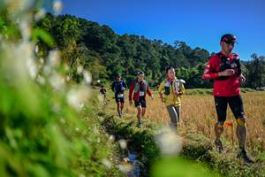 BIB: 
                            <button type="button" onclick="openModal(26573068)" class="btn btn-primary btn-sm float-right btn-popup" data-toggle="modal" data-target=".modal-high-quality">
                        <i class="fas fa-shopping-cart"></i> Add to Cart
                    </button>
                                            <button type="button" onclick="isThisMe(26573068, true)" class="btn btn-success btn-sm float-right btn-popup btn-isme hidden" data-toggle="tooltip" data-placement="bottom" title="นี่คือรูปของคุณใช่ไหม คลิกที่นี่เพื่อเอาเข้าอัลบั้ม">
                        <i class="fas fa-plus"></i> Add to album
                    </button>
                    <button type="button" onclick="isThisMe(26573068, false)" class="btn btn-warning btn-sm float-right btn-popup btn-isnotme hidden">
                        <i class="fas fa-ban"></i> Remove from album
                    </button>