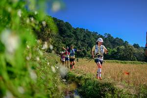 BIB: 
                            <button type="button" onclick="openModal(26580426)" class="btn btn-primary btn-sm float-right btn-popup" data-toggle="modal" data-target=".modal-high-quality">
                        <i class="fas fa-shopping-cart"></i> Add to Cart
                    </button>
                                            <button type="button" onclick="isThisMe(26580426, true)" class="btn btn-success btn-sm float-right btn-popup btn-isme hidden" data-toggle="tooltip" data-placement="bottom" title="นี่คือรูปของคุณใช่ไหม คลิกที่นี่เพื่อเอาเข้าอัลบั้ม">
                        <i class="fas fa-plus"></i> Add to album
                    </button>
                    <button type="button" onclick="isThisMe(26580426, false)" class="btn btn-warning btn-sm float-right btn-popup btn-isnotme hidden">
                        <i class="fas fa-ban"></i> Remove from album
                    </button>