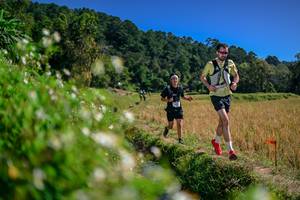 BIB: 
                            <button type="button" onclick="openModal(26582318)" class="btn btn-primary btn-sm float-right btn-popup" data-toggle="modal" data-target=".modal-high-quality">
                        <i class="fas fa-shopping-cart"></i> Add to Cart
                    </button>
                                            <button type="button" onclick="isThisMe(26582318, true)" class="btn btn-success btn-sm float-right btn-popup btn-isme hidden" data-toggle="tooltip" data-placement="bottom" title="นี่คือรูปของคุณใช่ไหม คลิกที่นี่เพื่อเอาเข้าอัลบั้ม">
                        <i class="fas fa-plus"></i> Add to album
                    </button>
                    <button type="button" onclick="isThisMe(26582318, false)" class="btn btn-warning btn-sm float-right btn-popup btn-isnotme hidden">
                        <i class="fas fa-ban"></i> Remove from album
                    </button>