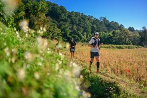 BIB: 
                            <button type="button" onclick="openModal(26570950)" class="btn btn-primary btn-sm float-right btn-popup" data-toggle="modal" data-target=".modal-high-quality">
                        <i class="fas fa-shopping-cart"></i> Add to Cart
                    </button>
                                            <button type="button" onclick="isThisMe(26570950, true)" class="btn btn-success btn-sm float-right btn-popup btn-isme hidden" data-toggle="tooltip" data-placement="bottom" title="นี่คือรูปของคุณใช่ไหม คลิกที่นี่เพื่อเอาเข้าอัลบั้ม">
                        <i class="fas fa-plus"></i> Add to album
                    </button>
                    <button type="button" onclick="isThisMe(26570950, false)" class="btn btn-warning btn-sm float-right btn-popup btn-isnotme hidden">
                        <i class="fas fa-ban"></i> Remove from album
                    </button>