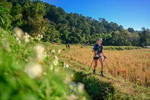 BIB: 
                            <button type="button" onclick="openModal(26570823)" class="btn btn-primary btn-sm float-right btn-popup" data-toggle="modal" data-target=".modal-high-quality">
                        <i class="fas fa-shopping-cart"></i> Add to Cart
                    </button>
                                            <button type="button" onclick="isThisMe(26570823, true)" class="btn btn-success btn-sm float-right btn-popup btn-isme hidden" data-toggle="tooltip" data-placement="bottom" title="นี่คือรูปของคุณใช่ไหม คลิกที่นี่เพื่อเอาเข้าอัลบั้ม">
                        <i class="fas fa-plus"></i> Add to album
                    </button>
                    <button type="button" onclick="isThisMe(26570823, false)" class="btn btn-warning btn-sm float-right btn-popup btn-isnotme hidden">
                        <i class="fas fa-ban"></i> Remove from album
                    </button>