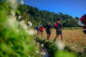 BIB: 
                            <button type="button" onclick="openModal(26574621)" class="btn btn-primary btn-sm float-right btn-popup" data-toggle="modal" data-target=".modal-high-quality">
                        <i class="fas fa-shopping-cart"></i> Add to Cart
                    </button>
                                            <button type="button" onclick="isThisMe(26574621, true)" class="btn btn-success btn-sm float-right btn-popup btn-isme hidden" data-toggle="tooltip" data-placement="bottom" title="นี่คือรูปของคุณใช่ไหม คลิกที่นี่เพื่อเอาเข้าอัลบั้ม">
                        <i class="fas fa-plus"></i> Add to album
                    </button>
                    <button type="button" onclick="isThisMe(26574621, false)" class="btn btn-warning btn-sm float-right btn-popup btn-isnotme hidden">
                        <i class="fas fa-ban"></i> Remove from album
                    </button>