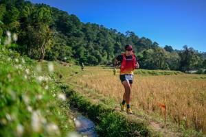 BIB: 
                            <button type="button" onclick="openModal(26576411)" class="btn btn-primary btn-sm float-right btn-popup" data-toggle="modal" data-target=".modal-high-quality">
                        <i class="fas fa-shopping-cart"></i> Add to Cart
                    </button>
                                            <button type="button" onclick="isThisMe(26576411, true)" class="btn btn-success btn-sm float-right btn-popup btn-isme hidden" data-toggle="tooltip" data-placement="bottom" title="นี่คือรูปของคุณใช่ไหม คลิกที่นี่เพื่อเอาเข้าอัลบั้ม">
                        <i class="fas fa-plus"></i> Add to album
                    </button>
                    <button type="button" onclick="isThisMe(26576411, false)" class="btn btn-warning btn-sm float-right btn-popup btn-isnotme hidden">
                        <i class="fas fa-ban"></i> Remove from album
                    </button>