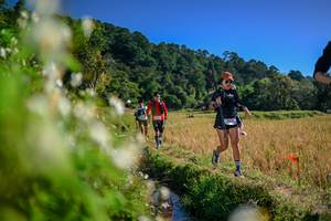 BIB: 
                            <button type="button" onclick="openModal(26575117)" class="btn btn-primary btn-sm float-right btn-popup" data-toggle="modal" data-target=".modal-high-quality">
                        <i class="fas fa-shopping-cart"></i> Add to Cart
                    </button>
                                            <button type="button" onclick="isThisMe(26575117, true)" class="btn btn-success btn-sm float-right btn-popup btn-isme hidden" data-toggle="tooltip" data-placement="bottom" title="นี่คือรูปของคุณใช่ไหม คลิกที่นี่เพื่อเอาเข้าอัลบั้ม">
                        <i class="fas fa-plus"></i> Add to album
                    </button>
                    <button type="button" onclick="isThisMe(26575117, false)" class="btn btn-warning btn-sm float-right btn-popup btn-isnotme hidden">
                        <i class="fas fa-ban"></i> Remove from album
                    </button>