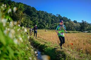 BIB: 
                            <button type="button" onclick="openModal(26571562)" class="btn btn-primary btn-sm float-right btn-popup" data-toggle="modal" data-target=".modal-high-quality">
                        <i class="fas fa-shopping-cart"></i> Add to Cart
                    </button>
                                            <button type="button" onclick="isThisMe(26571562, true)" class="btn btn-success btn-sm float-right btn-popup btn-isme hidden" data-toggle="tooltip" data-placement="bottom" title="นี่คือรูปของคุณใช่ไหม คลิกที่นี่เพื่อเอาเข้าอัลบั้ม">
                        <i class="fas fa-plus"></i> Add to album
                    </button>
                    <button type="button" onclick="isThisMe(26571562, false)" class="btn btn-warning btn-sm float-right btn-popup btn-isnotme hidden">
                        <i class="fas fa-ban"></i> Remove from album
                    </button>