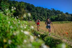 BIB: 
                            <button type="button" onclick="openModal(26581859)" class="btn btn-primary btn-sm float-right btn-popup" data-toggle="modal" data-target=".modal-high-quality">
                        <i class="fas fa-shopping-cart"></i> Add to Cart
                    </button>
                                            <button type="button" onclick="isThisMe(26581859, true)" class="btn btn-success btn-sm float-right btn-popup btn-isme hidden" data-toggle="tooltip" data-placement="bottom" title="นี่คือรูปของคุณใช่ไหม คลิกที่นี่เพื่อเอาเข้าอัลบั้ม">
                        <i class="fas fa-plus"></i> Add to album
                    </button>
                    <button type="button" onclick="isThisMe(26581859, false)" class="btn btn-warning btn-sm float-right btn-popup btn-isnotme hidden">
                        <i class="fas fa-ban"></i> Remove from album
                    </button>