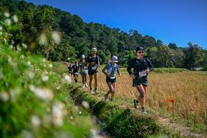 BIB: 
                            <button type="button" onclick="openModal(26582874)" class="btn btn-primary btn-sm float-right btn-popup" data-toggle="modal" data-target=".modal-high-quality">
                        <i class="fas fa-shopping-cart"></i> Add to Cart
                    </button>
                                            <button type="button" onclick="isThisMe(26582874, true)" class="btn btn-success btn-sm float-right btn-popup btn-isme hidden" data-toggle="tooltip" data-placement="bottom" title="นี่คือรูปของคุณใช่ไหม คลิกที่นี่เพื่อเอาเข้าอัลบั้ม">
                        <i class="fas fa-plus"></i> Add to album
                    </button>
                    <button type="button" onclick="isThisMe(26582874, false)" class="btn btn-warning btn-sm float-right btn-popup btn-isnotme hidden">
                        <i class="fas fa-ban"></i> Remove from album
                    </button>