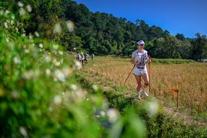 BIB: 
                            <button type="button" onclick="openModal(26581584)" class="btn btn-primary btn-sm float-right btn-popup" data-toggle="modal" data-target=".modal-high-quality">
                        <i class="fas fa-shopping-cart"></i> Add to Cart
                    </button>
                                            <button type="button" onclick="isThisMe(26581584, true)" class="btn btn-success btn-sm float-right btn-popup btn-isme hidden" data-toggle="tooltip" data-placement="bottom" title="นี่คือรูปของคุณใช่ไหม คลิกที่นี่เพื่อเอาเข้าอัลบั้ม">
                        <i class="fas fa-plus"></i> Add to album
                    </button>
                    <button type="button" onclick="isThisMe(26581584, false)" class="btn btn-warning btn-sm float-right btn-popup btn-isnotme hidden">
                        <i class="fas fa-ban"></i> Remove from album
                    </button>