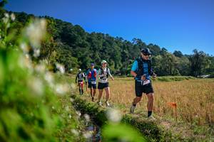 BIB: 
                            <button type="button" onclick="openModal(26575600)" class="btn btn-primary btn-sm float-right btn-popup" data-toggle="modal" data-target=".modal-high-quality">
                        <i class="fas fa-shopping-cart"></i> Add to Cart
                    </button>
                                            <button type="button" onclick="isThisMe(26575600, true)" class="btn btn-success btn-sm float-right btn-popup btn-isme hidden" data-toggle="tooltip" data-placement="bottom" title="นี่คือรูปของคุณใช่ไหม คลิกที่นี่เพื่อเอาเข้าอัลบั้ม">
                        <i class="fas fa-plus"></i> Add to album
                    </button>
                    <button type="button" onclick="isThisMe(26575600, false)" class="btn btn-warning btn-sm float-right btn-popup btn-isnotme hidden">
                        <i class="fas fa-ban"></i> Remove from album
                    </button>