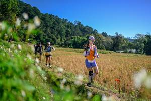 BIB: 
                            <button type="button" onclick="openModal(26576543)" class="btn btn-primary btn-sm float-right btn-popup" data-toggle="modal" data-target=".modal-high-quality">
                        <i class="fas fa-shopping-cart"></i> Add to Cart
                    </button>
                                            <button type="button" onclick="isThisMe(26576543, true)" class="btn btn-success btn-sm float-right btn-popup btn-isme hidden" data-toggle="tooltip" data-placement="bottom" title="นี่คือรูปของคุณใช่ไหม คลิกที่นี่เพื่อเอาเข้าอัลบั้ม">
                        <i class="fas fa-plus"></i> Add to album
                    </button>
                    <button type="button" onclick="isThisMe(26576543, false)" class="btn btn-warning btn-sm float-right btn-popup btn-isnotme hidden">
                        <i class="fas fa-ban"></i> Remove from album
                    </button>