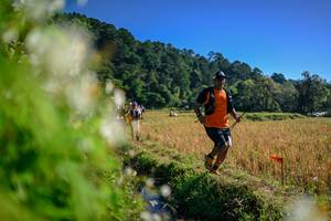 BIB: 
                            <button type="button" onclick="openModal(26572174)" class="btn btn-primary btn-sm float-right btn-popup" data-toggle="modal" data-target=".modal-high-quality">
                        <i class="fas fa-shopping-cart"></i> Add to Cart
                    </button>
                                            <button type="button" onclick="isThisMe(26572174, true)" class="btn btn-success btn-sm float-right btn-popup btn-isme hidden" data-toggle="tooltip" data-placement="bottom" title="นี่คือรูปของคุณใช่ไหม คลิกที่นี่เพื่อเอาเข้าอัลบั้ม">
                        <i class="fas fa-plus"></i> Add to album
                    </button>
                    <button type="button" onclick="isThisMe(26572174, false)" class="btn btn-warning btn-sm float-right btn-popup btn-isnotme hidden">
                        <i class="fas fa-ban"></i> Remove from album
                    </button>