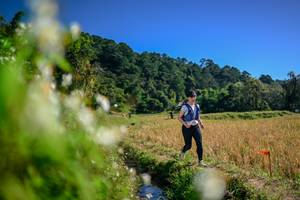 BIB: 
                            <button type="button" onclick="openModal(26575218)" class="btn btn-primary btn-sm float-right btn-popup" data-toggle="modal" data-target=".modal-high-quality">
                        <i class="fas fa-shopping-cart"></i> Add to Cart
                    </button>
                                            <button type="button" onclick="isThisMe(26575218, true)" class="btn btn-success btn-sm float-right btn-popup btn-isme hidden" data-toggle="tooltip" data-placement="bottom" title="นี่คือรูปของคุณใช่ไหม คลิกที่นี่เพื่อเอาเข้าอัลบั้ม">
                        <i class="fas fa-plus"></i> Add to album
                    </button>
                    <button type="button" onclick="isThisMe(26575218, false)" class="btn btn-warning btn-sm float-right btn-popup btn-isnotme hidden">
                        <i class="fas fa-ban"></i> Remove from album
                    </button>