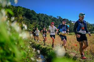 BIB: 
                            <button type="button" onclick="openModal(26575069)" class="btn btn-primary btn-sm float-right btn-popup" data-toggle="modal" data-target=".modal-high-quality">
                        <i class="fas fa-shopping-cart"></i> Add to Cart
                    </button>
                                            <button type="button" onclick="isThisMe(26575069, true)" class="btn btn-success btn-sm float-right btn-popup btn-isme hidden" data-toggle="tooltip" data-placement="bottom" title="นี่คือรูปของคุณใช่ไหม คลิกที่นี่เพื่อเอาเข้าอัลบั้ม">
                        <i class="fas fa-plus"></i> Add to album
                    </button>
                    <button type="button" onclick="isThisMe(26575069, false)" class="btn btn-warning btn-sm float-right btn-popup btn-isnotme hidden">
                        <i class="fas fa-ban"></i> Remove from album
                    </button>