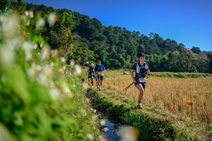 BIB: 
                            <button type="button" onclick="openModal(26571746)" class="btn btn-primary btn-sm float-right btn-popup" data-toggle="modal" data-target=".modal-high-quality">
                        <i class="fas fa-shopping-cart"></i> Add to Cart
                    </button>
                                            <button type="button" onclick="isThisMe(26571746, true)" class="btn btn-success btn-sm float-right btn-popup btn-isme hidden" data-toggle="tooltip" data-placement="bottom" title="นี่คือรูปของคุณใช่ไหม คลิกที่นี่เพื่อเอาเข้าอัลบั้ม">
                        <i class="fas fa-plus"></i> Add to album
                    </button>
                    <button type="button" onclick="isThisMe(26571746, false)" class="btn btn-warning btn-sm float-right btn-popup btn-isnotme hidden">
                        <i class="fas fa-ban"></i> Remove from album
                    </button>