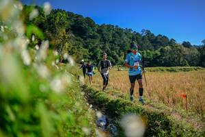 BIB: 
                            <button type="button" onclick="openModal(26573446)" class="btn btn-primary btn-sm float-right btn-popup" data-toggle="modal" data-target=".modal-high-quality">
                        <i class="fas fa-shopping-cart"></i> Add to Cart
                    </button>
                                            <button type="button" onclick="isThisMe(26573446, true)" class="btn btn-success btn-sm float-right btn-popup btn-isme hidden" data-toggle="tooltip" data-placement="bottom" title="นี่คือรูปของคุณใช่ไหม คลิกที่นี่เพื่อเอาเข้าอัลบั้ม">
                        <i class="fas fa-plus"></i> Add to album
                    </button>
                    <button type="button" onclick="isThisMe(26573446, false)" class="btn btn-warning btn-sm float-right btn-popup btn-isnotme hidden">
                        <i class="fas fa-ban"></i> Remove from album
                    </button>