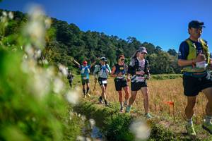 BIB: 
                            <button type="button" onclick="openModal(26575168)" class="btn btn-primary btn-sm float-right btn-popup" data-toggle="modal" data-target=".modal-high-quality">
                        <i class="fas fa-shopping-cart"></i> Add to Cart
                    </button>
                                            <button type="button" onclick="isThisMe(26575168, true)" class="btn btn-success btn-sm float-right btn-popup btn-isme hidden" data-toggle="tooltip" data-placement="bottom" title="นี่คือรูปของคุณใช่ไหม คลิกที่นี่เพื่อเอาเข้าอัลบั้ม">
                        <i class="fas fa-plus"></i> Add to album
                    </button>
                    <button type="button" onclick="isThisMe(26575168, false)" class="btn btn-warning btn-sm float-right btn-popup btn-isnotme hidden">
                        <i class="fas fa-ban"></i> Remove from album
                    </button>