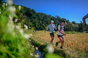 BIB: 
                            <button type="button" onclick="openModal(26574314)" class="btn btn-primary btn-sm float-right btn-popup" data-toggle="modal" data-target=".modal-high-quality">
                        <i class="fas fa-shopping-cart"></i> Add to Cart
                    </button>
                                            <button type="button" onclick="isThisMe(26574314, true)" class="btn btn-success btn-sm float-right btn-popup btn-isme hidden" data-toggle="tooltip" data-placement="bottom" title="นี่คือรูปของคุณใช่ไหม คลิกที่นี่เพื่อเอาเข้าอัลบั้ม">
                        <i class="fas fa-plus"></i> Add to album
                    </button>
                    <button type="button" onclick="isThisMe(26574314, false)" class="btn btn-warning btn-sm float-right btn-popup btn-isnotme hidden">
                        <i class="fas fa-ban"></i> Remove from album
                    </button>