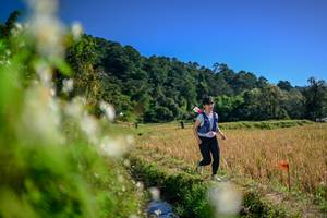 BIB: 
                            <button type="button" onclick="openModal(26575216)" class="btn btn-primary btn-sm float-right btn-popup" data-toggle="modal" data-target=".modal-high-quality">
                        <i class="fas fa-shopping-cart"></i> Add to Cart
                    </button>
                                            <button type="button" onclick="isThisMe(26575216, true)" class="btn btn-success btn-sm float-right btn-popup btn-isme hidden" data-toggle="tooltip" data-placement="bottom" title="นี่คือรูปของคุณใช่ไหม คลิกที่นี่เพื่อเอาเข้าอัลบั้ม">
                        <i class="fas fa-plus"></i> Add to album
                    </button>
                    <button type="button" onclick="isThisMe(26575216, false)" class="btn btn-warning btn-sm float-right btn-popup btn-isnotme hidden">
                        <i class="fas fa-ban"></i> Remove from album
                    </button>