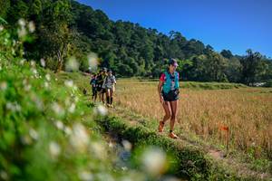 BIB: 
                            <button type="button" onclick="openModal(26576190)" class="btn btn-primary btn-sm float-right btn-popup" data-toggle="modal" data-target=".modal-high-quality">
                        <i class="fas fa-shopping-cart"></i> Add to Cart
                    </button>
                                            <button type="button" onclick="isThisMe(26576190, true)" class="btn btn-success btn-sm float-right btn-popup btn-isme hidden" data-toggle="tooltip" data-placement="bottom" title="นี่คือรูปของคุณใช่ไหม คลิกที่นี่เพื่อเอาเข้าอัลบั้ม">
                        <i class="fas fa-plus"></i> Add to album
                    </button>
                    <button type="button" onclick="isThisMe(26576190, false)" class="btn btn-warning btn-sm float-right btn-popup btn-isnotme hidden">
                        <i class="fas fa-ban"></i> Remove from album
                    </button>