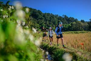 BIB: 
                            <button type="button" onclick="openModal(26574374)" class="btn btn-primary btn-sm float-right btn-popup" data-toggle="modal" data-target=".modal-high-quality">
                        <i class="fas fa-shopping-cart"></i> Add to Cart
                    </button>
                                            <button type="button" onclick="isThisMe(26574374, true)" class="btn btn-success btn-sm float-right btn-popup btn-isme hidden" data-toggle="tooltip" data-placement="bottom" title="นี่คือรูปของคุณใช่ไหม คลิกที่นี่เพื่อเอาเข้าอัลบั้ม">
                        <i class="fas fa-plus"></i> Add to album
                    </button>
                    <button type="button" onclick="isThisMe(26574374, false)" class="btn btn-warning btn-sm float-right btn-popup btn-isnotme hidden">
                        <i class="fas fa-ban"></i> Remove from album
                    </button>