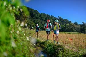 BIB: 
                            <button type="button" onclick="openModal(26580240)" class="btn btn-primary btn-sm float-right btn-popup" data-toggle="modal" data-target=".modal-high-quality">
                        <i class="fas fa-shopping-cart"></i> Add to Cart
                    </button>
                                            <button type="button" onclick="isThisMe(26580240, true)" class="btn btn-success btn-sm float-right btn-popup btn-isme hidden" data-toggle="tooltip" data-placement="bottom" title="นี่คือรูปของคุณใช่ไหม คลิกที่นี่เพื่อเอาเข้าอัลบั้ม">
                        <i class="fas fa-plus"></i> Add to album
                    </button>
                    <button type="button" onclick="isThisMe(26580240, false)" class="btn btn-warning btn-sm float-right btn-popup btn-isnotme hidden">
                        <i class="fas fa-ban"></i> Remove from album
                    </button>