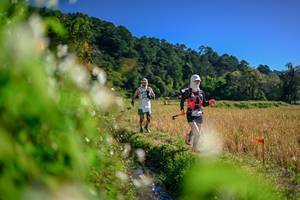 BIB: 
                            <button type="button" onclick="openModal(26574920)" class="btn btn-primary btn-sm float-right btn-popup" data-toggle="modal" data-target=".modal-high-quality">
                        <i class="fas fa-shopping-cart"></i> Add to Cart
                    </button>
                                            <button type="button" onclick="isThisMe(26574920, true)" class="btn btn-success btn-sm float-right btn-popup btn-isme hidden" data-toggle="tooltip" data-placement="bottom" title="นี่คือรูปของคุณใช่ไหม คลิกที่นี่เพื่อเอาเข้าอัลบั้ม">
                        <i class="fas fa-plus"></i> Add to album
                    </button>
                    <button type="button" onclick="isThisMe(26574920, false)" class="btn btn-warning btn-sm float-right btn-popup btn-isnotme hidden">
                        <i class="fas fa-ban"></i> Remove from album
                    </button>