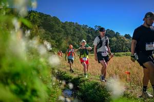 BIB: 
                            <button type="button" onclick="openModal(26574155)" class="btn btn-primary btn-sm float-right btn-popup" data-toggle="modal" data-target=".modal-high-quality">
                        <i class="fas fa-shopping-cart"></i> Add to Cart
                    </button>
                                            <button type="button" onclick="isThisMe(26574155, true)" class="btn btn-success btn-sm float-right btn-popup btn-isme hidden" data-toggle="tooltip" data-placement="bottom" title="นี่คือรูปของคุณใช่ไหม คลิกที่นี่เพื่อเอาเข้าอัลบั้ม">
                        <i class="fas fa-plus"></i> Add to album
                    </button>
                    <button type="button" onclick="isThisMe(26574155, false)" class="btn btn-warning btn-sm float-right btn-popup btn-isnotme hidden">
                        <i class="fas fa-ban"></i> Remove from album
                    </button>