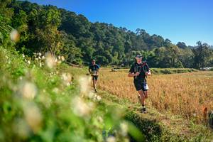 BIB: 
                            <button type="button" onclick="openModal(26570570)" class="btn btn-primary btn-sm float-right btn-popup" data-toggle="modal" data-target=".modal-high-quality">
                        <i class="fas fa-shopping-cart"></i> Add to Cart
                    </button>
                                            <button type="button" onclick="isThisMe(26570570, true)" class="btn btn-success btn-sm float-right btn-popup btn-isme hidden" data-toggle="tooltip" data-placement="bottom" title="นี่คือรูปของคุณใช่ไหม คลิกที่นี่เพื่อเอาเข้าอัลบั้ม">
                        <i class="fas fa-plus"></i> Add to album
                    </button>
                    <button type="button" onclick="isThisMe(26570570, false)" class="btn btn-warning btn-sm float-right btn-popup btn-isnotme hidden">
                        <i class="fas fa-ban"></i> Remove from album
                    </button>