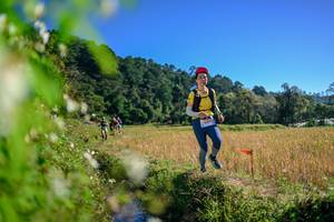 BIB: 
                            <button type="button" onclick="openModal(26579664)" class="btn btn-primary btn-sm float-right btn-popup" data-toggle="modal" data-target=".modal-high-quality">
                        <i class="fas fa-shopping-cart"></i> Add to Cart
                    </button>
                                            <button type="button" onclick="isThisMe(26579664, true)" class="btn btn-success btn-sm float-right btn-popup btn-isme hidden" data-toggle="tooltip" data-placement="bottom" title="นี่คือรูปของคุณใช่ไหม คลิกที่นี่เพื่อเอาเข้าอัลบั้ม">
                        <i class="fas fa-plus"></i> Add to album
                    </button>
                    <button type="button" onclick="isThisMe(26579664, false)" class="btn btn-warning btn-sm float-right btn-popup btn-isnotme hidden">
                        <i class="fas fa-ban"></i> Remove from album
                    </button>