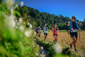 BIB: 
                            <button type="button" onclick="openModal(26572963)" class="btn btn-primary btn-sm float-right btn-popup" data-toggle="modal" data-target=".modal-high-quality">
                        <i class="fas fa-shopping-cart"></i> Add to Cart
                    </button>
                                            <button type="button" onclick="isThisMe(26572963, true)" class="btn btn-success btn-sm float-right btn-popup btn-isme hidden" data-toggle="tooltip" data-placement="bottom" title="นี่คือรูปของคุณใช่ไหม คลิกที่นี่เพื่อเอาเข้าอัลบั้ม">
                        <i class="fas fa-plus"></i> Add to album
                    </button>
                    <button type="button" onclick="isThisMe(26572963, false)" class="btn btn-warning btn-sm float-right btn-popup btn-isnotme hidden">
                        <i class="fas fa-ban"></i> Remove from album
                    </button>