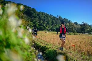 BIB: 
                            <button type="button" onclick="openModal(26571597)" class="btn btn-primary btn-sm float-right btn-popup" data-toggle="modal" data-target=".modal-high-quality">
                        <i class="fas fa-shopping-cart"></i> Add to Cart
                    </button>
                                            <button type="button" onclick="isThisMe(26571597, true)" class="btn btn-success btn-sm float-right btn-popup btn-isme hidden" data-toggle="tooltip" data-placement="bottom" title="นี่คือรูปของคุณใช่ไหม คลิกที่นี่เพื่อเอาเข้าอัลบั้ม">
                        <i class="fas fa-plus"></i> Add to album
                    </button>
                    <button type="button" onclick="isThisMe(26571597, false)" class="btn btn-warning btn-sm float-right btn-popup btn-isnotme hidden">
                        <i class="fas fa-ban"></i> Remove from album
                    </button>