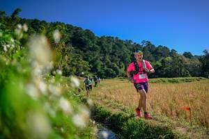 BIB: 
                            <button type="button" onclick="openModal(26575383)" class="btn btn-primary btn-sm float-right btn-popup" data-toggle="modal" data-target=".modal-high-quality">
                        <i class="fas fa-shopping-cart"></i> Add to Cart
                    </button>
                                            <button type="button" onclick="isThisMe(26575383, true)" class="btn btn-success btn-sm float-right btn-popup btn-isme hidden" data-toggle="tooltip" data-placement="bottom" title="นี่คือรูปของคุณใช่ไหม คลิกที่นี่เพื่อเอาเข้าอัลบั้ม">
                        <i class="fas fa-plus"></i> Add to album
                    </button>
                    <button type="button" onclick="isThisMe(26575383, false)" class="btn btn-warning btn-sm float-right btn-popup btn-isnotme hidden">
                        <i class="fas fa-ban"></i> Remove from album
                    </button>