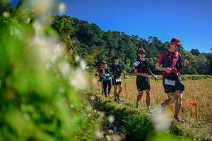 BIB: 
                            <button type="button" onclick="openModal(26572394)" class="btn btn-primary btn-sm float-right btn-popup" data-toggle="modal" data-target=".modal-high-quality">
                        <i class="fas fa-shopping-cart"></i> Add to Cart
                    </button>
                                            <button type="button" onclick="isThisMe(26572394, true)" class="btn btn-success btn-sm float-right btn-popup btn-isme hidden" data-toggle="tooltip" data-placement="bottom" title="นี่คือรูปของคุณใช่ไหม คลิกที่นี่เพื่อเอาเข้าอัลบั้ม">
                        <i class="fas fa-plus"></i> Add to album
                    </button>
                    <button type="button" onclick="isThisMe(26572394, false)" class="btn btn-warning btn-sm float-right btn-popup btn-isnotme hidden">
                        <i class="fas fa-ban"></i> Remove from album
                    </button>