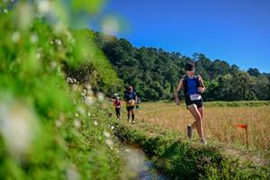 BIB: 
                            <button type="button" onclick="openModal(26580843)" class="btn btn-primary btn-sm float-right btn-popup" data-toggle="modal" data-target=".modal-high-quality">
                        <i class="fas fa-shopping-cart"></i> Add to Cart
                    </button>
                                            <button type="button" onclick="isThisMe(26580843, true)" class="btn btn-success btn-sm float-right btn-popup btn-isme hidden" data-toggle="tooltip" data-placement="bottom" title="นี่คือรูปของคุณใช่ไหม คลิกที่นี่เพื่อเอาเข้าอัลบั้ม">
                        <i class="fas fa-plus"></i> Add to album
                    </button>
                    <button type="button" onclick="isThisMe(26580843, false)" class="btn btn-warning btn-sm float-right btn-popup btn-isnotme hidden">
                        <i class="fas fa-ban"></i> Remove from album
                    </button>