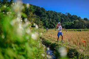 BIB: 
                            <button type="button" onclick="openModal(26572872)" class="btn btn-primary btn-sm float-right btn-popup" data-toggle="modal" data-target=".modal-high-quality">
                        <i class="fas fa-shopping-cart"></i> Add to Cart
                    </button>
                                            <button type="button" onclick="isThisMe(26572872, true)" class="btn btn-success btn-sm float-right btn-popup btn-isme hidden" data-toggle="tooltip" data-placement="bottom" title="นี่คือรูปของคุณใช่ไหม คลิกที่นี่เพื่อเอาเข้าอัลบั้ม">
                        <i class="fas fa-plus"></i> Add to album
                    </button>
                    <button type="button" onclick="isThisMe(26572872, false)" class="btn btn-warning btn-sm float-right btn-popup btn-isnotme hidden">
                        <i class="fas fa-ban"></i> Remove from album
                    </button>