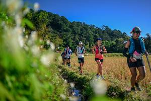 BIB: 
                            <button type="button" onclick="openModal(26572964)" class="btn btn-primary btn-sm float-right btn-popup" data-toggle="modal" data-target=".modal-high-quality">
                        <i class="fas fa-shopping-cart"></i> Add to Cart
                    </button>
                                            <button type="button" onclick="isThisMe(26572964, true)" class="btn btn-success btn-sm float-right btn-popup btn-isme hidden" data-toggle="tooltip" data-placement="bottom" title="นี่คือรูปของคุณใช่ไหม คลิกที่นี่เพื่อเอาเข้าอัลบั้ม">
                        <i class="fas fa-plus"></i> Add to album
                    </button>
                    <button type="button" onclick="isThisMe(26572964, false)" class="btn btn-warning btn-sm float-right btn-popup btn-isnotme hidden">
                        <i class="fas fa-ban"></i> Remove from album
                    </button>