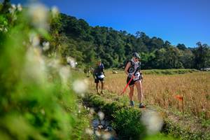 BIB: 
                            <button type="button" onclick="openModal(26574548)" class="btn btn-primary btn-sm float-right btn-popup" data-toggle="modal" data-target=".modal-high-quality">
                        <i class="fas fa-shopping-cart"></i> Add to Cart
                    </button>
                                            <button type="button" onclick="isThisMe(26574548, true)" class="btn btn-success btn-sm float-right btn-popup btn-isme hidden" data-toggle="tooltip" data-placement="bottom" title="นี่คือรูปของคุณใช่ไหม คลิกที่นี่เพื่อเอาเข้าอัลบั้ม">
                        <i class="fas fa-plus"></i> Add to album
                    </button>
                    <button type="button" onclick="isThisMe(26574548, false)" class="btn btn-warning btn-sm float-right btn-popup btn-isnotme hidden">
                        <i class="fas fa-ban"></i> Remove from album
                    </button>