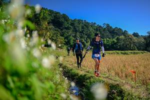 BIB: 
                            <button type="button" onclick="openModal(26573482)" class="btn btn-primary btn-sm float-right btn-popup" data-toggle="modal" data-target=".modal-high-quality">
                        <i class="fas fa-shopping-cart"></i> Add to Cart
                    </button>
                                            <button type="button" onclick="isThisMe(26573482, true)" class="btn btn-success btn-sm float-right btn-popup btn-isme hidden" data-toggle="tooltip" data-placement="bottom" title="นี่คือรูปของคุณใช่ไหม คลิกที่นี่เพื่อเอาเข้าอัลบั้ม">
                        <i class="fas fa-plus"></i> Add to album
                    </button>
                    <button type="button" onclick="isThisMe(26573482, false)" class="btn btn-warning btn-sm float-right btn-popup btn-isnotme hidden">
                        <i class="fas fa-ban"></i> Remove from album
                    </button>