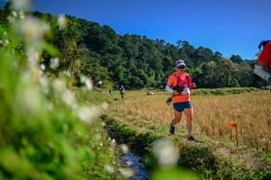 BIB: 
                            <button type="button" onclick="openModal(26574210)" class="btn btn-primary btn-sm float-right btn-popup" data-toggle="modal" data-target=".modal-high-quality">
                        <i class="fas fa-shopping-cart"></i> Add to Cart
                    </button>
                                            <button type="button" onclick="isThisMe(26574210, true)" class="btn btn-success btn-sm float-right btn-popup btn-isme hidden" data-toggle="tooltip" data-placement="bottom" title="นี่คือรูปของคุณใช่ไหม คลิกที่นี่เพื่อเอาเข้าอัลบั้ม">
                        <i class="fas fa-plus"></i> Add to album
                    </button>
                    <button type="button" onclick="isThisMe(26574210, false)" class="btn btn-warning btn-sm float-right btn-popup btn-isnotme hidden">
                        <i class="fas fa-ban"></i> Remove from album
                    </button>