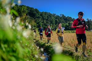 BIB: 
                            <button type="button" onclick="openModal(26573069)" class="btn btn-primary btn-sm float-right btn-popup" data-toggle="modal" data-target=".modal-high-quality">
                        <i class="fas fa-shopping-cart"></i> Add to Cart
                    </button>
                                            <button type="button" onclick="isThisMe(26573069, true)" class="btn btn-success btn-sm float-right btn-popup btn-isme hidden" data-toggle="tooltip" data-placement="bottom" title="นี่คือรูปของคุณใช่ไหม คลิกที่นี่เพื่อเอาเข้าอัลบั้ม">
                        <i class="fas fa-plus"></i> Add to album
                    </button>
                    <button type="button" onclick="isThisMe(26573069, false)" class="btn btn-warning btn-sm float-right btn-popup btn-isnotme hidden">
                        <i class="fas fa-ban"></i> Remove from album
                    </button>