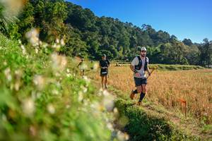 BIB: 
                            <button type="button" onclick="openModal(26570955)" class="btn btn-primary btn-sm float-right btn-popup" data-toggle="modal" data-target=".modal-high-quality">
                        <i class="fas fa-shopping-cart"></i> Add to Cart
                    </button>
                                            <button type="button" onclick="isThisMe(26570955, true)" class="btn btn-success btn-sm float-right btn-popup btn-isme hidden" data-toggle="tooltip" data-placement="bottom" title="นี่คือรูปของคุณใช่ไหม คลิกที่นี่เพื่อเอาเข้าอัลบั้ม">
                        <i class="fas fa-plus"></i> Add to album
                    </button>
                    <button type="button" onclick="isThisMe(26570955, false)" class="btn btn-warning btn-sm float-right btn-popup btn-isnotme hidden">
                        <i class="fas fa-ban"></i> Remove from album
                    </button>