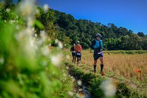 BIB: 
                            <button type="button" onclick="openModal(26572832)" class="btn btn-primary btn-sm float-right btn-popup" data-toggle="modal" data-target=".modal-high-quality">
                        <i class="fas fa-shopping-cart"></i> Add to Cart
                    </button>
                                            <button type="button" onclick="isThisMe(26572832, true)" class="btn btn-success btn-sm float-right btn-popup btn-isme hidden" data-toggle="tooltip" data-placement="bottom" title="นี่คือรูปของคุณใช่ไหม คลิกที่นี่เพื่อเอาเข้าอัลบั้ม">
                        <i class="fas fa-plus"></i> Add to album
                    </button>
                    <button type="button" onclick="isThisMe(26572832, false)" class="btn btn-warning btn-sm float-right btn-popup btn-isnotme hidden">
                        <i class="fas fa-ban"></i> Remove from album
                    </button>