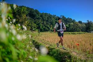 BIB: 
                            <button type="button" onclick="openModal(26575703)" class="btn btn-primary btn-sm float-right btn-popup" data-toggle="modal" data-target=".modal-high-quality">
                        <i class="fas fa-shopping-cart"></i> Add to Cart
                    </button>
                                            <button type="button" onclick="isThisMe(26575703, true)" class="btn btn-success btn-sm float-right btn-popup btn-isme hidden" data-toggle="tooltip" data-placement="bottom" title="นี่คือรูปของคุณใช่ไหม คลิกที่นี่เพื่อเอาเข้าอัลบั้ม">
                        <i class="fas fa-plus"></i> Add to album
                    </button>
                    <button type="button" onclick="isThisMe(26575703, false)" class="btn btn-warning btn-sm float-right btn-popup btn-isnotme hidden">
                        <i class="fas fa-ban"></i> Remove from album
                    </button>