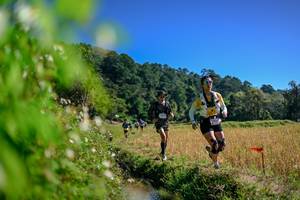 BIB: 
                            <button type="button" onclick="openModal(26580897)" class="btn btn-primary btn-sm float-right btn-popup" data-toggle="modal" data-target=".modal-high-quality">
                        <i class="fas fa-shopping-cart"></i> Add to Cart
                    </button>
                                            <button type="button" onclick="isThisMe(26580897, true)" class="btn btn-success btn-sm float-right btn-popup btn-isme hidden" data-toggle="tooltip" data-placement="bottom" title="นี่คือรูปของคุณใช่ไหม คลิกที่นี่เพื่อเอาเข้าอัลบั้ม">
                        <i class="fas fa-plus"></i> Add to album
                    </button>
                    <button type="button" onclick="isThisMe(26580897, false)" class="btn btn-warning btn-sm float-right btn-popup btn-isnotme hidden">
                        <i class="fas fa-ban"></i> Remove from album
                    </button>