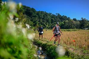 BIB: 
                            <button type="button" onclick="openModal(26574554)" class="btn btn-primary btn-sm float-right btn-popup" data-toggle="modal" data-target=".modal-high-quality">
                        <i class="fas fa-shopping-cart"></i> Add to Cart
                    </button>
                                            <button type="button" onclick="isThisMe(26574554, true)" class="btn btn-success btn-sm float-right btn-popup btn-isme hidden" data-toggle="tooltip" data-placement="bottom" title="นี่คือรูปของคุณใช่ไหม คลิกที่นี่เพื่อเอาเข้าอัลบั้ม">
                        <i class="fas fa-plus"></i> Add to album
                    </button>
                    <button type="button" onclick="isThisMe(26574554, false)" class="btn btn-warning btn-sm float-right btn-popup btn-isnotme hidden">
                        <i class="fas fa-ban"></i> Remove from album
                    </button>