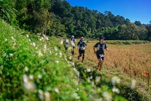 BIB: 
                            <button type="button" onclick="openModal(26571288)" class="btn btn-primary btn-sm float-right btn-popup" data-toggle="modal" data-target=".modal-high-quality">
                        <i class="fas fa-shopping-cart"></i> Add to Cart
                    </button>
                                            <button type="button" onclick="isThisMe(26571288, true)" class="btn btn-success btn-sm float-right btn-popup btn-isme hidden" data-toggle="tooltip" data-placement="bottom" title="นี่คือรูปของคุณใช่ไหม คลิกที่นี่เพื่อเอาเข้าอัลบั้ม">
                        <i class="fas fa-plus"></i> Add to album
                    </button>
                    <button type="button" onclick="isThisMe(26571288, false)" class="btn btn-warning btn-sm float-right btn-popup btn-isnotme hidden">
                        <i class="fas fa-ban"></i> Remove from album
                    </button>