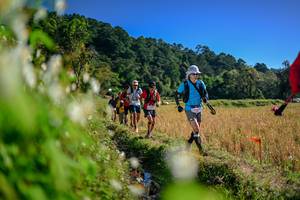 BIB: 
                            <button type="button" onclick="openModal(26573037)" class="btn btn-primary btn-sm float-right btn-popup" data-toggle="modal" data-target=".modal-high-quality">
                        <i class="fas fa-shopping-cart"></i> Add to Cart
                    </button>
                                            <button type="button" onclick="isThisMe(26573037, true)" class="btn btn-success btn-sm float-right btn-popup btn-isme hidden" data-toggle="tooltip" data-placement="bottom" title="นี่คือรูปของคุณใช่ไหม คลิกที่นี่เพื่อเอาเข้าอัลบั้ม">
                        <i class="fas fa-plus"></i> Add to album
                    </button>
                    <button type="button" onclick="isThisMe(26573037, false)" class="btn btn-warning btn-sm float-right btn-popup btn-isnotme hidden">
                        <i class="fas fa-ban"></i> Remove from album
                    </button>