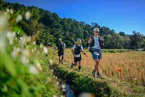 BIB: 
                            <button type="button" onclick="openModal(26571658)" class="btn btn-primary btn-sm float-right btn-popup" data-toggle="modal" data-target=".modal-high-quality">
                        <i class="fas fa-shopping-cart"></i> Add to Cart
                    </button>
                                            <button type="button" onclick="isThisMe(26571658, true)" class="btn btn-success btn-sm float-right btn-popup btn-isme hidden" data-toggle="tooltip" data-placement="bottom" title="นี่คือรูปของคุณใช่ไหม คลิกที่นี่เพื่อเอาเข้าอัลบั้ม">
                        <i class="fas fa-plus"></i> Add to album
                    </button>
                    <button type="button" onclick="isThisMe(26571658, false)" class="btn btn-warning btn-sm float-right btn-popup btn-isnotme hidden">
                        <i class="fas fa-ban"></i> Remove from album
                    </button>