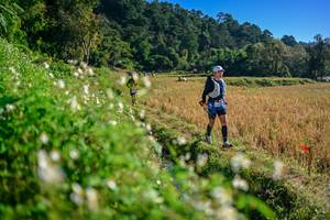 BIB: 
                            <button type="button" onclick="openModal(26571315)" class="btn btn-primary btn-sm float-right btn-popup" data-toggle="modal" data-target=".modal-high-quality">
                        <i class="fas fa-shopping-cart"></i> Add to Cart
                    </button>
                                            <button type="button" onclick="isThisMe(26571315, true)" class="btn btn-success btn-sm float-right btn-popup btn-isme hidden" data-toggle="tooltip" data-placement="bottom" title="นี่คือรูปของคุณใช่ไหม คลิกที่นี่เพื่อเอาเข้าอัลบั้ม">
                        <i class="fas fa-plus"></i> Add to album
                    </button>
                    <button type="button" onclick="isThisMe(26571315, false)" class="btn btn-warning btn-sm float-right btn-popup btn-isnotme hidden">
                        <i class="fas fa-ban"></i> Remove from album
                    </button>